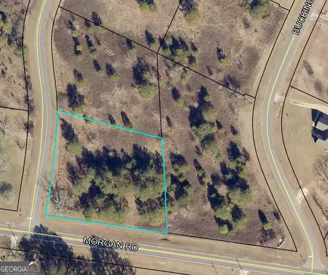 LOT 1 Buckingham Parc Circle, East Dublin, GA 31027 - #1