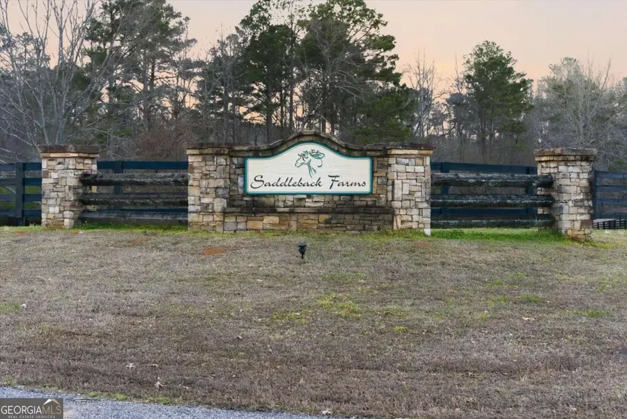 35 Saddleback Farms, Newnan, GA 30263 - #2