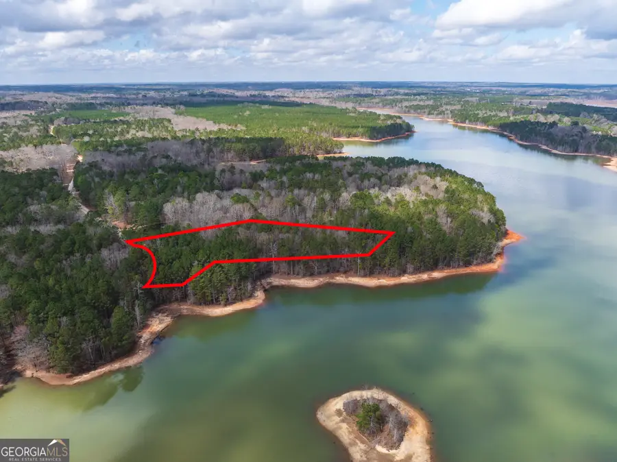 3 ACRES Happy Hollow Road, Hampton, GA 30228 - #2