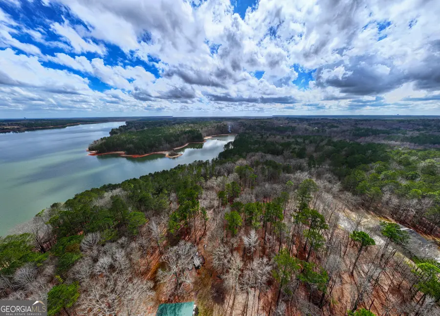 3 ACRES Happy Hollow Road, Hampton, GA 30228 - #3