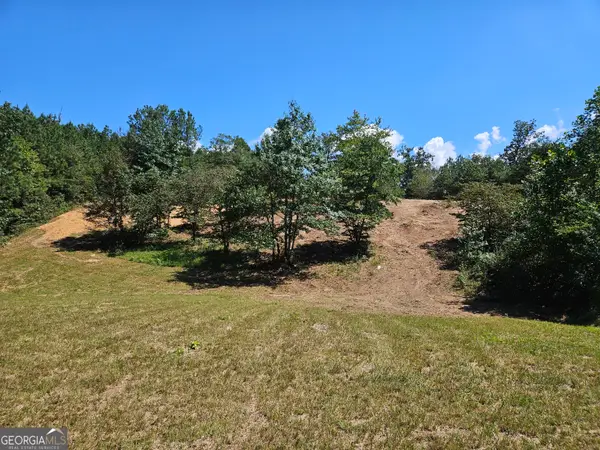 0 Maple Grove Church Rd, Chatsworth, GA 30705