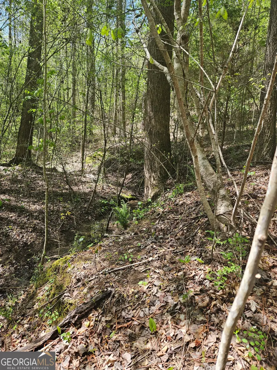 0 Maple Grove Church Rd, Chatsworth, GA 30705 - #3