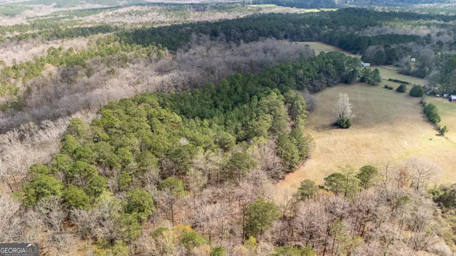 0 Robert Hodnett Road, Pine Mountain, GA 31822 - #2