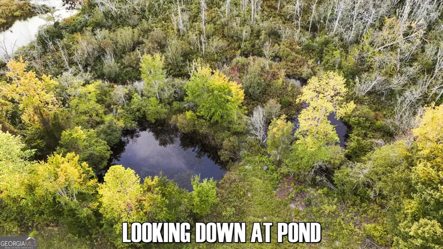 4.12 ACRES Ga Hwy 24, Sardis, GA 30456 - #3