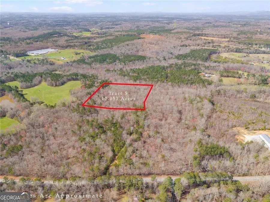 TRACT2 Georgia Highway 100, Buchanan, GA 30113 - #3