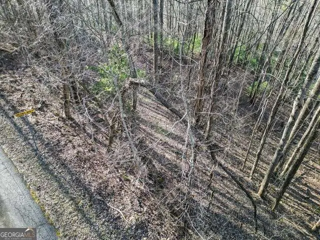 0 Chestnut Mountain Drive, Rabun Gap, GA 30568 - #2