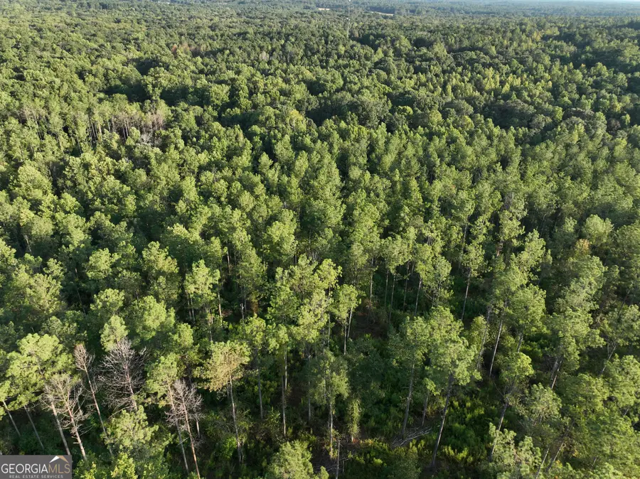 0 Shady Grove Rd, Carrollton, GA 30116 - #3