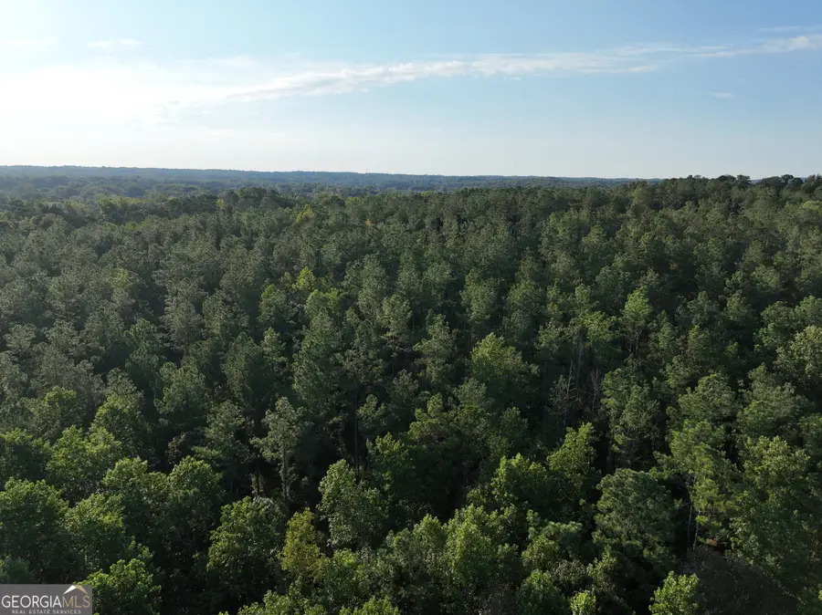 0 Shady Grove Rd, Carrollton, GA 30116 - #3