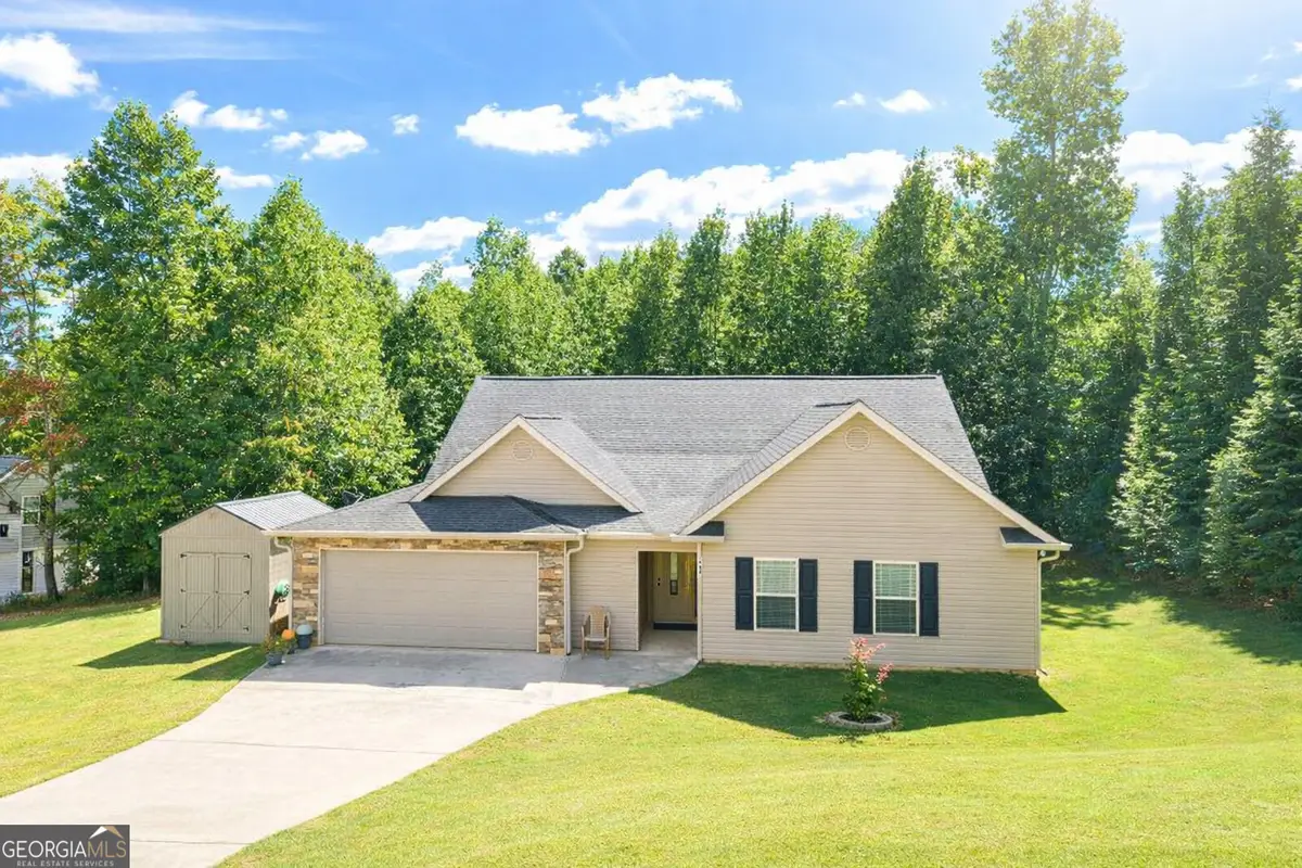 220 Tesnatee Landing Drive, Cleveland, GA 30528 - #1