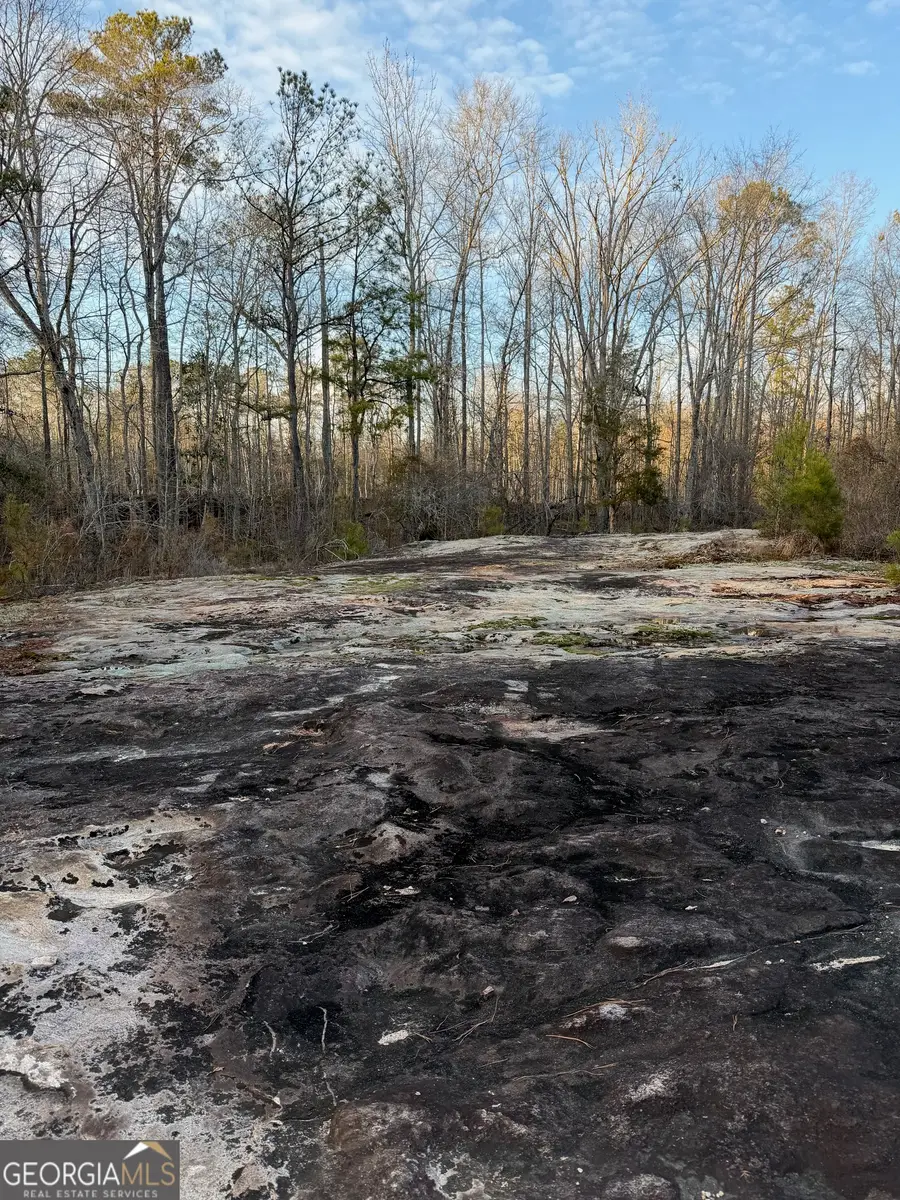 0 Branch Hebron Road, Greenville, GA 30222 - #3