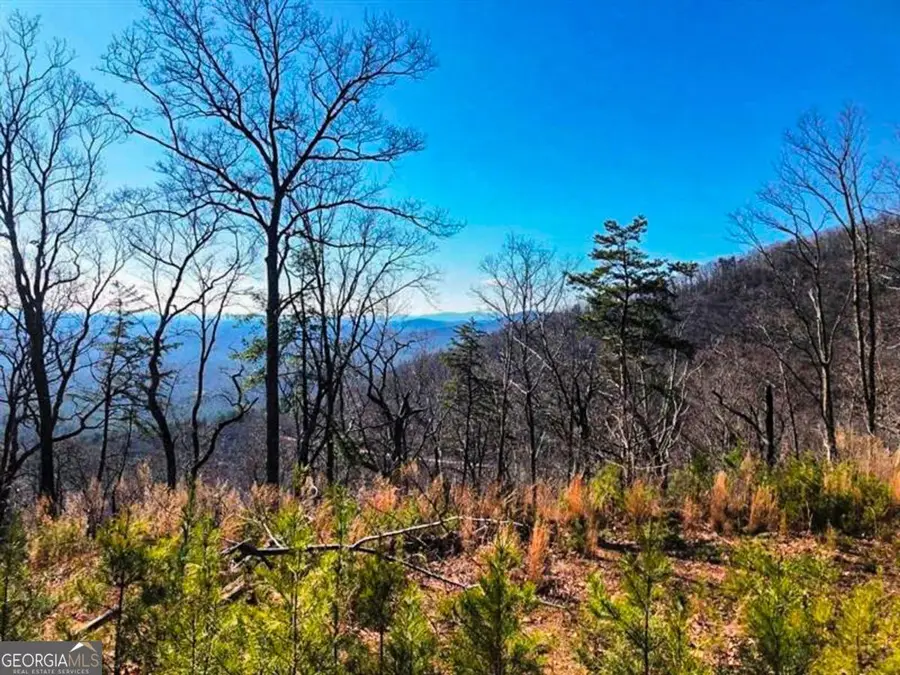 0 Coopers Gap Road, Dahlonega, GA 30533 - #2