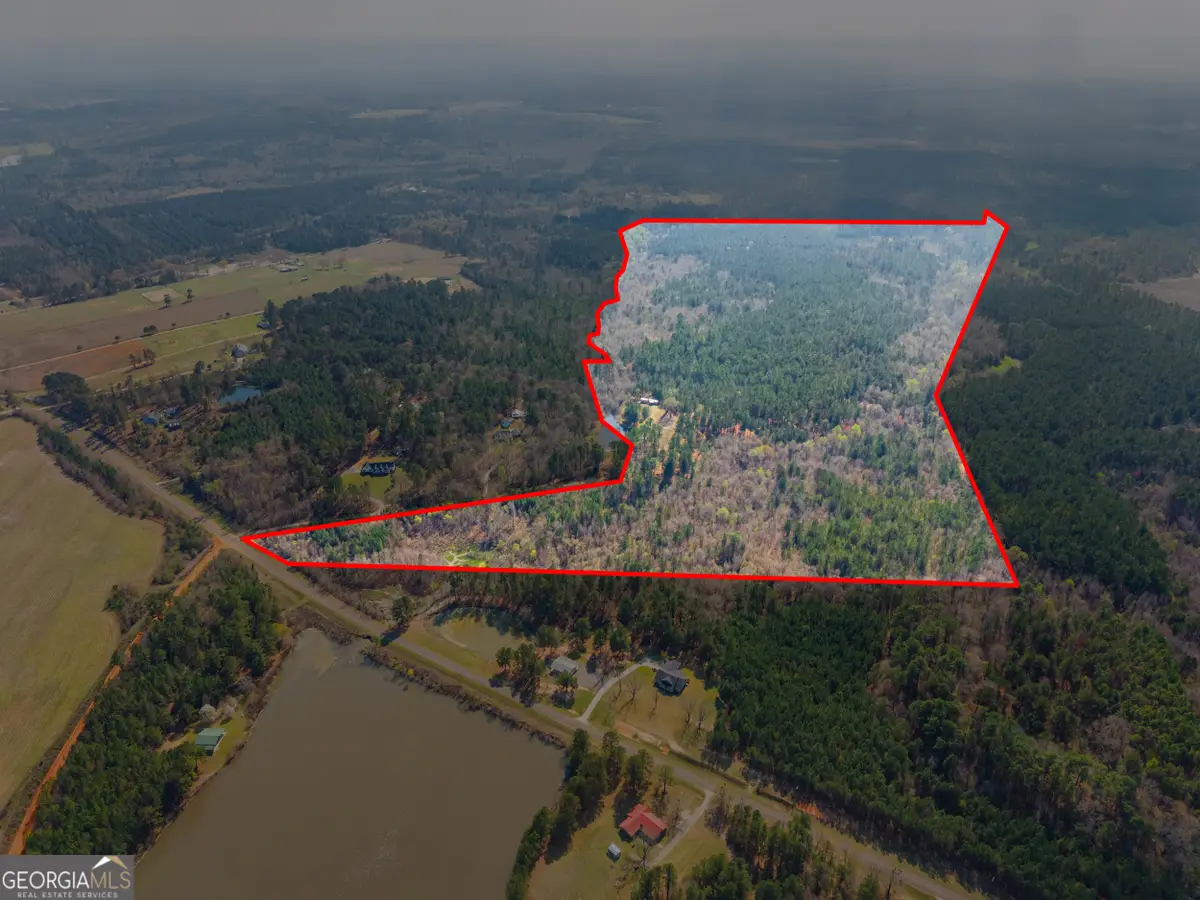 3127 Buttermilk Road, Sylvania, GA 30467 - #1