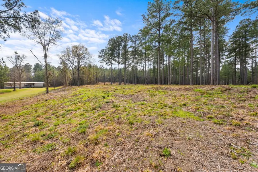 3127 Buttermilk Road, Sylvania, GA 30467 - #3