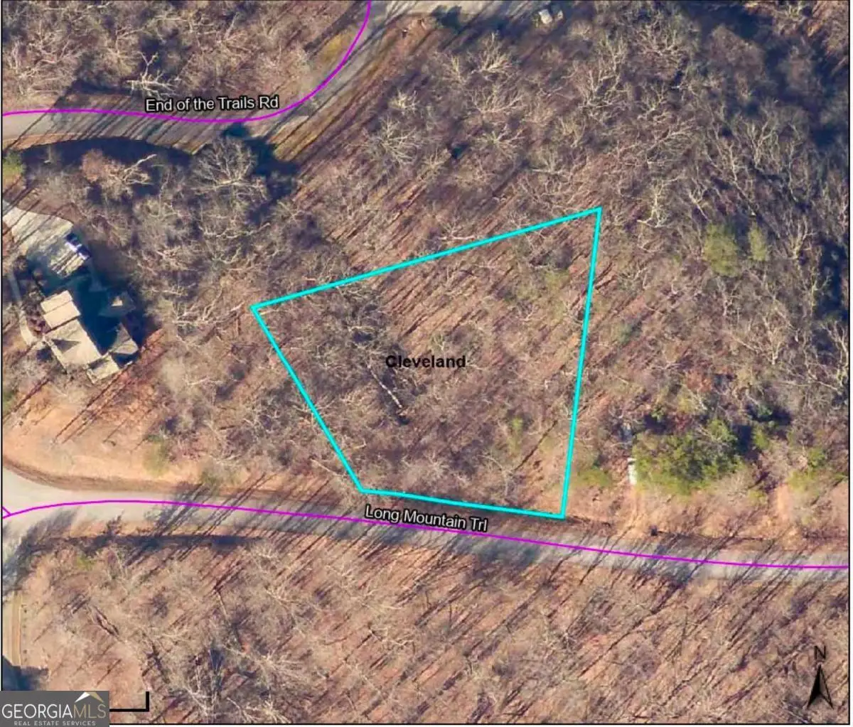 LOT 21 Long Mountain Trail, Cleveland, GA 30528 - #1