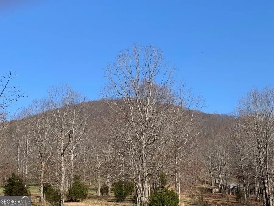 LOT 21 Long Mountain Trail, Cleveland, GA 30528 - #3