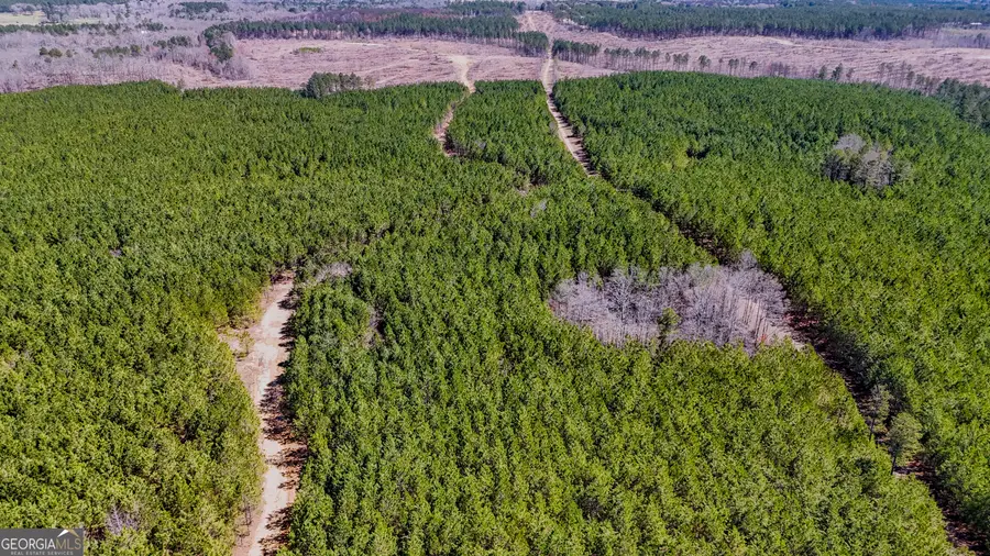 TRACT 3 John Kay Road, Taylorsville, GA 30178 - #2