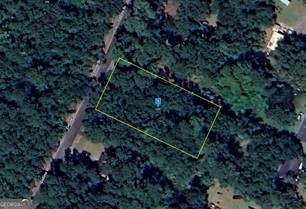 233 Collins Drive, Brunswick, GA 31523 - #1