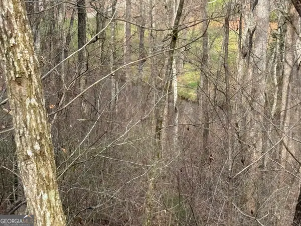 #15A Mossy Oaks Lane, Hiawassee, GA 30546