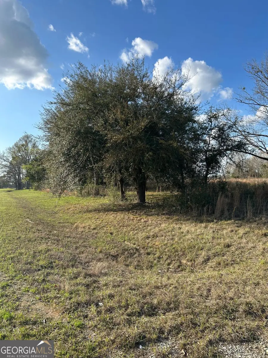 0 Scotts Store Road, Millen, GA 30442 - #3