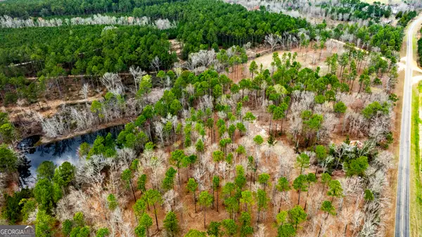 13463 Cowart Pond Road, Metter, GA 30439