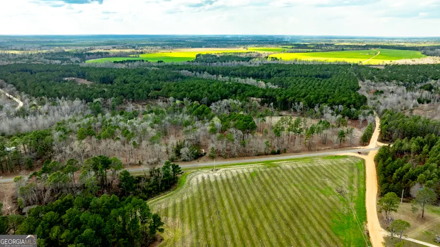 13463 Cowart Pond Road, Metter, GA 30439 - #3