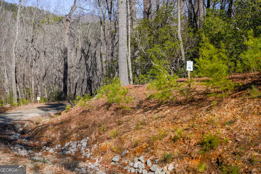 0 Ivy Ridge Way #LOT 39, Clarkesville, GA 30523 - #2