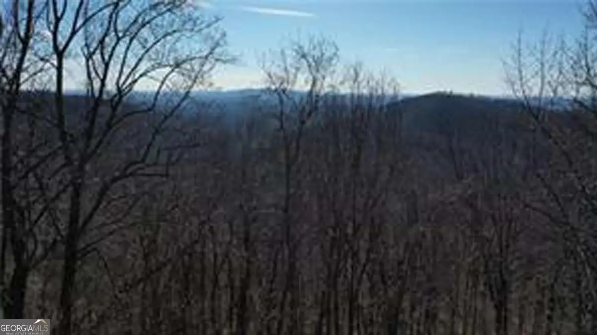 243 Dragon Trail, Ellijay, GA 30536 - #1