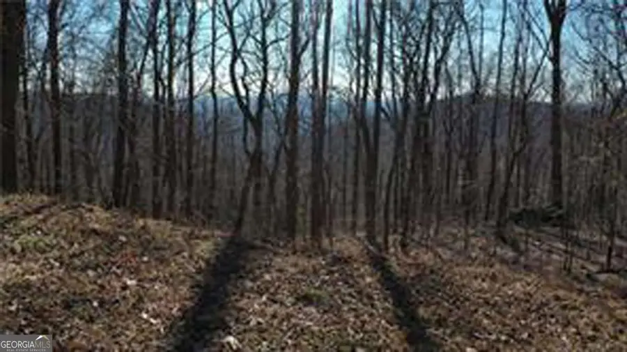 243 Dragon Trail, Ellijay, GA 30536 - #2