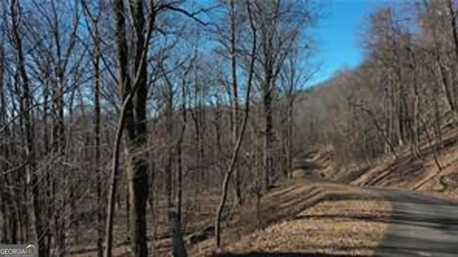 243 Dragon Trail, Ellijay, GA 30536 - #3