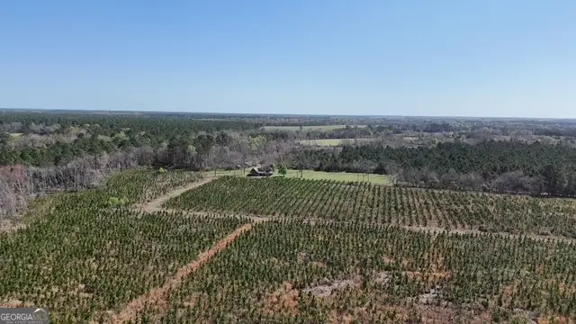 0 Ingram Road, Odum, GA 31555 - #3