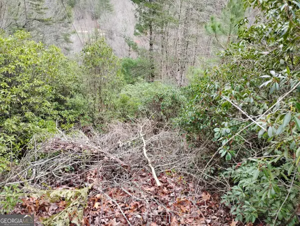 LT 166 Shenendoa Drive #166, Ellijay, GA 30540