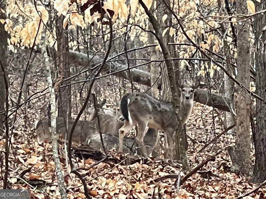 LOT 942 Birdie Court, Westminster, SC 29693 - #3