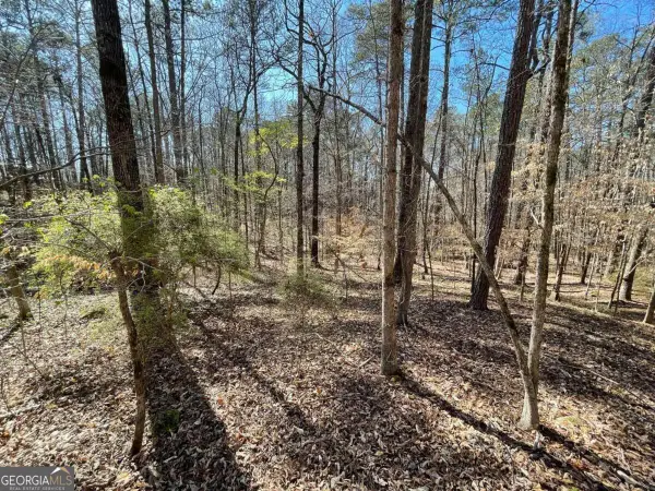 LOT 62 Warbler Lane, Monticello, GA 31064
