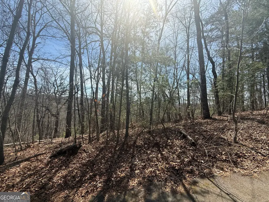 TRACT 3A Big View Lane, Clayton, GA 30525 - #3