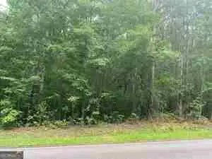 130 N Morgan Drive, Griffin, GA 30223 - #2