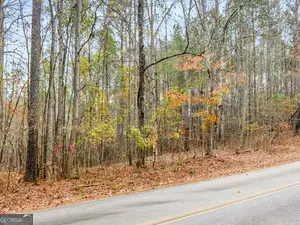 130 N Morgan Drive, Griffin, GA 30223 - #3