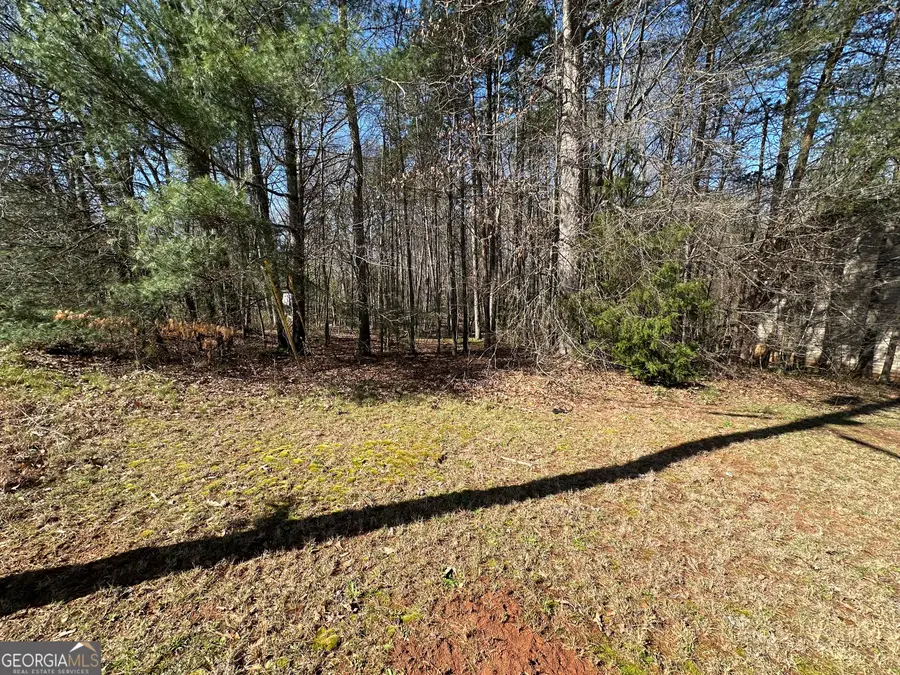 0 Stephen Drive, Toccoa, GA 30577 - #2