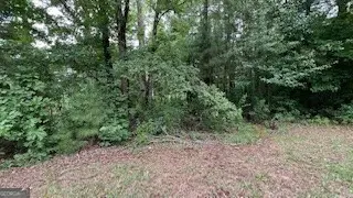 1114 E Shoreview Road, McDonough, GA 30253 - #2