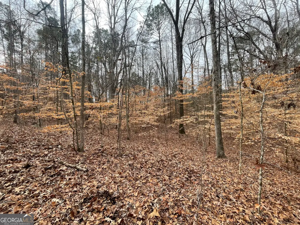 0 Us Hwy 100, Franklin, GA 30217 - #1