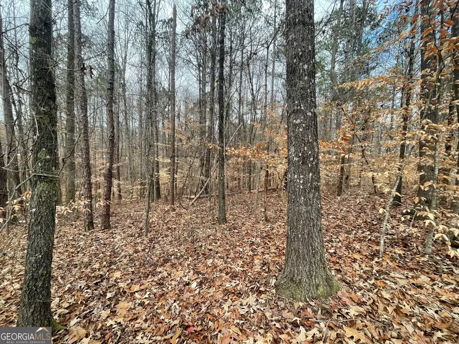 0 Us Hwy 100, Franklin, GA 30217 - #2