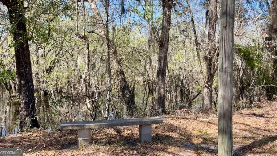 265 Big Cypress Drive, Bloomingdale, GA 31302 - #3