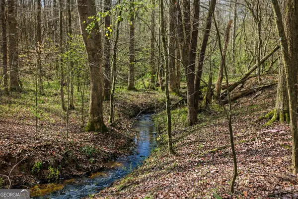 2325 Stonepile Road #LOT 3, Clarkesville, GA 30523