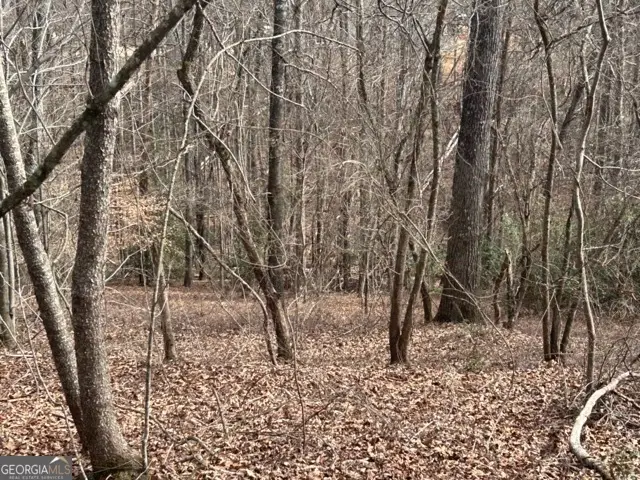 N/A Ashley Dr, Cleveland, GA 30528 - #2