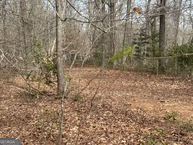 N/A Ashley Dr, Cleveland, GA 30528 - #3