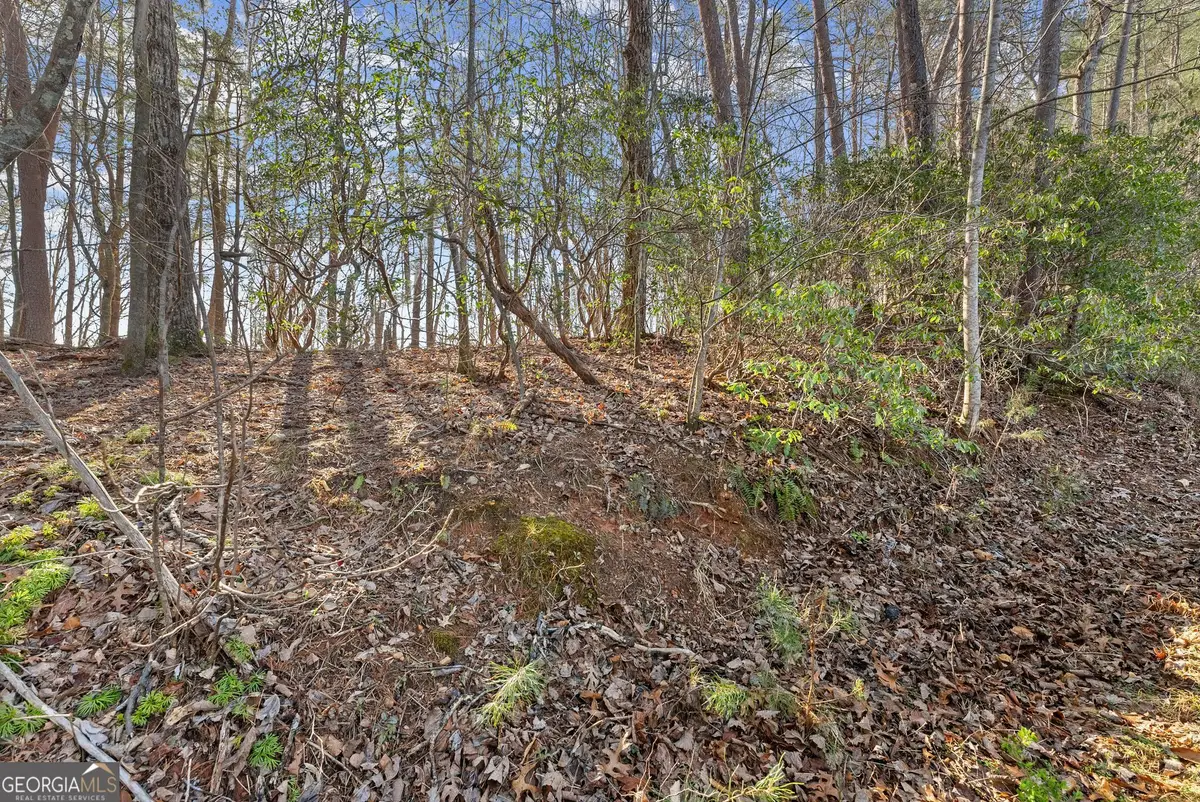 LOT 6 Sweet Apple Lane, Dahlonega, GA 30533 - #1
