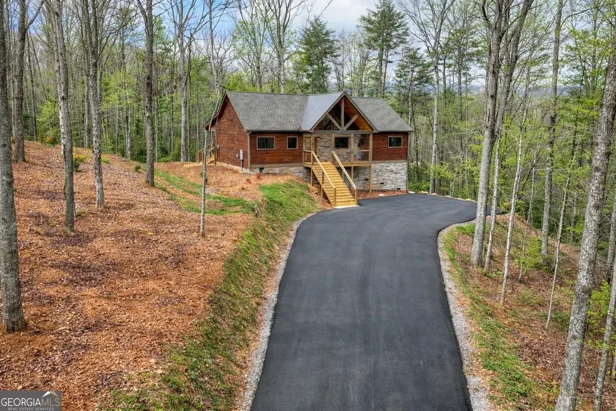 223 Bent Wood Lane, Blue Ridge, GA 30513 - #1