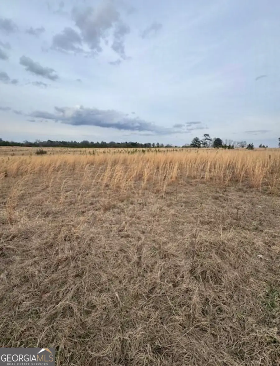 0 Mark Wood Rd (lot 5), Dexter, GA 31019 - #2