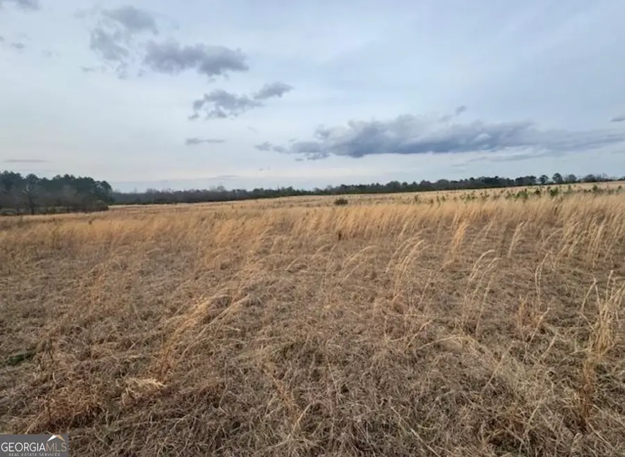 0 Mark Wood Rd (lot 5), Dexter, GA 31019 - #3