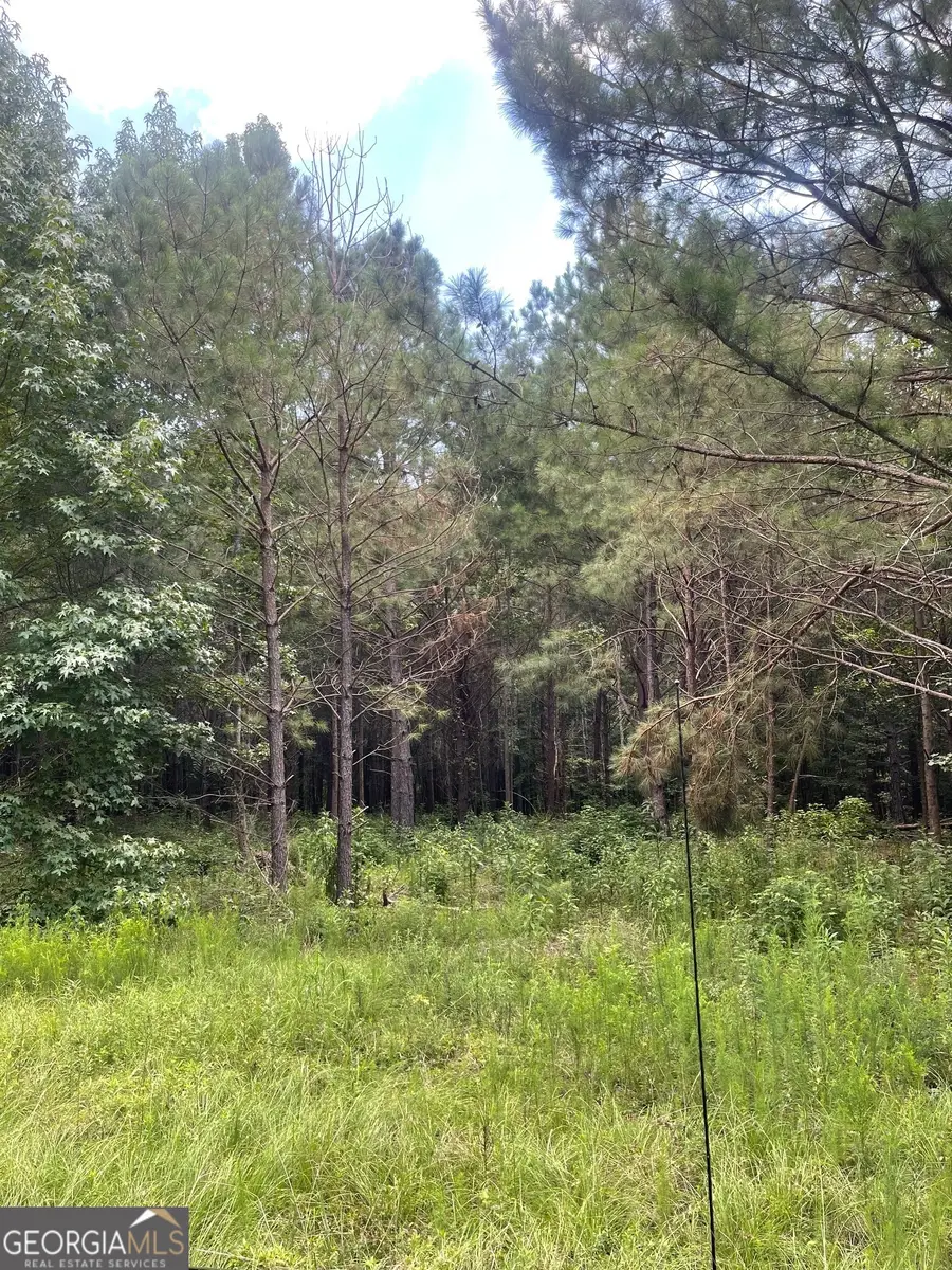 O  LOT 4 Main Street, Milner, GA 30257 - #2