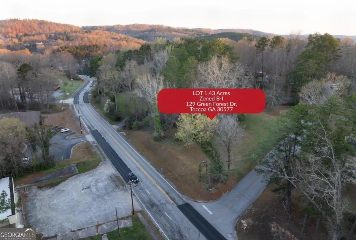 129 Green Forest Drive, Toccoa, GA 30577 - #1